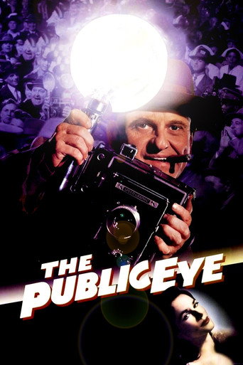 Regarder The Public Eye en streaming complet