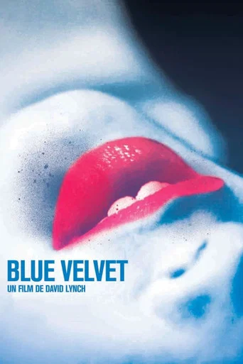 Regarder Blue Velvet en streaming complet